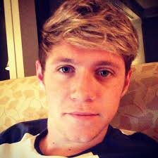 My fake is the one and only Niall James Horan!! He is a member of the most AMAZING boy band ever.... ONE DIRECTION!!! I LOVE 1D. So HMU!!!!! ;)