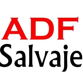 Blog de Oracle ADF en español