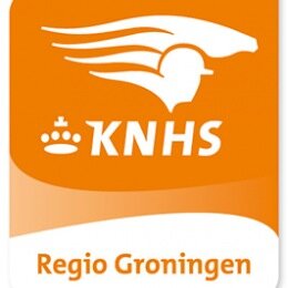 KNHS Regio Groningen, vertegenwoordigt de regio Groningen,  op  gebied van de paardensport