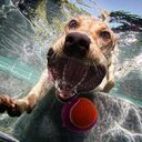 brian roche - @bucko51 - Twitter