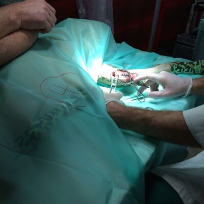 Ecuphar_Instru's profile picture. Orthopaedic implants - Equi Support