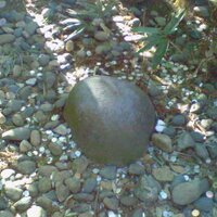 阿澄森羅 (@asumi_shinra) Twitter profile photo