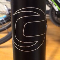 shuncapie (@shuncapie) Twitter profile photo