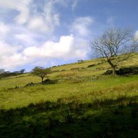 Yorkshire Daily (@yorkshire_daily) 's Twitter Profile