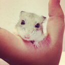 nevaeh carrillo - @supercupcake326 - Twitter