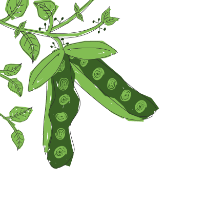 greatseedfest's profile picture. A festival to celebrate the magic of seed, to rekindle the connection between seed and food, and raise awareness of the importance of seed and food sovereignty.