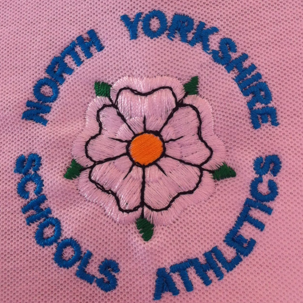 NorthYorksSAA Profile Picture