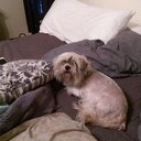 Chris Jarrell - @pmedic725 - Twitter