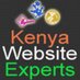 .co.ke Domain @995/= (@webexpertkenya) Twitter profile photo