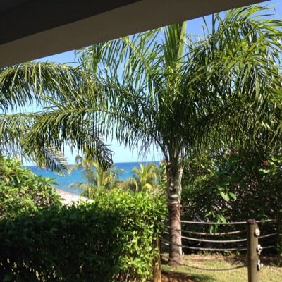 arnoparisse's profile picture. taxi connecté service présent du petit ballon à l' ovalie