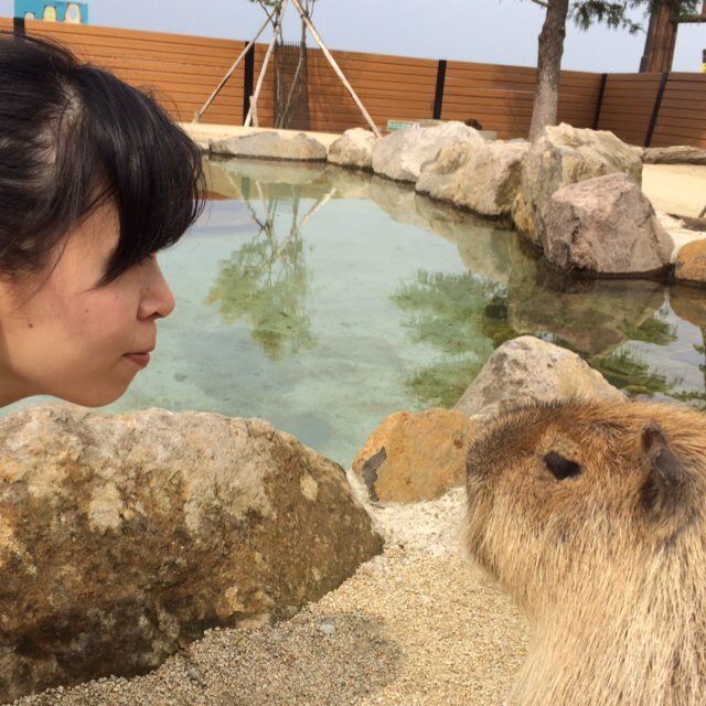 パートタイマーと主婦ニートを行ったり来たり。引っ越しは何回やっても慣れません。池田の嫁。乾杯から最後の一杯までビール。west.のファン。ゲーム配信をよく見てる。