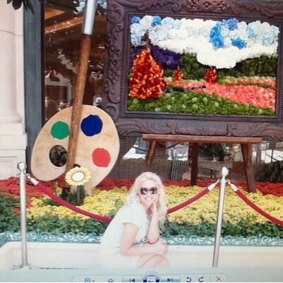 evelindmtrs's profile picture. 