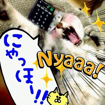 趣味ポケゴTL50。コスピカ色違い集めてます。イベントはピカチュウ特化🔥ポケゴフレンドは募集していません🙅‍♂️