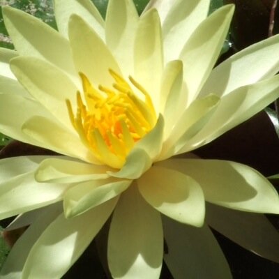 CarolineMcombie's profile picture. 