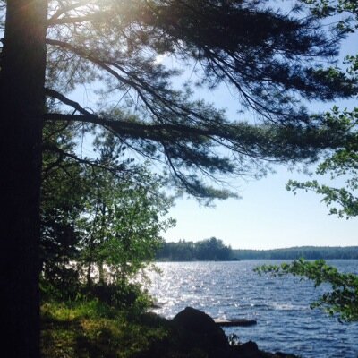 tassiep74's profile picture. 