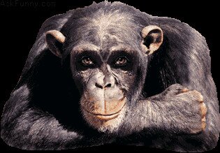 kopiitem's profile picture. Random things which inspired me, or at least I thought so...