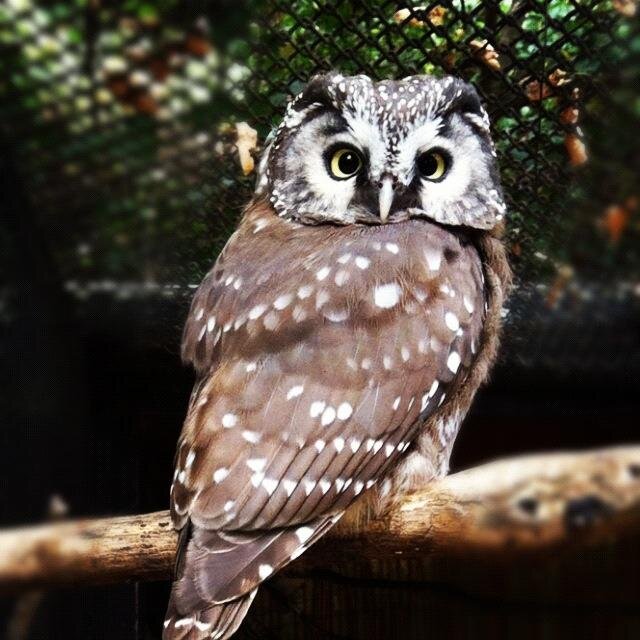 josephfish3's profile picture. 