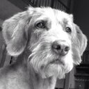 Mendota McHeightsFace - @greg_geiger - Twitter