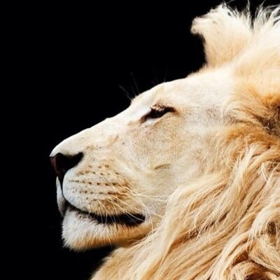 romendij's profile picture. 
