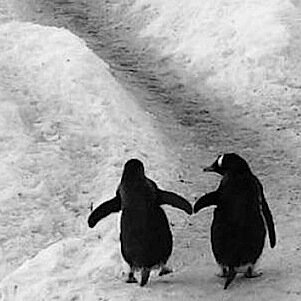 Yogrut's profile picture. タイムラインでつかまえて