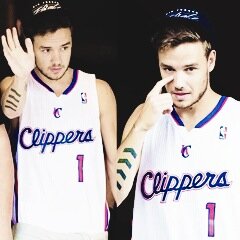 liam payne - 18 - single, bisex