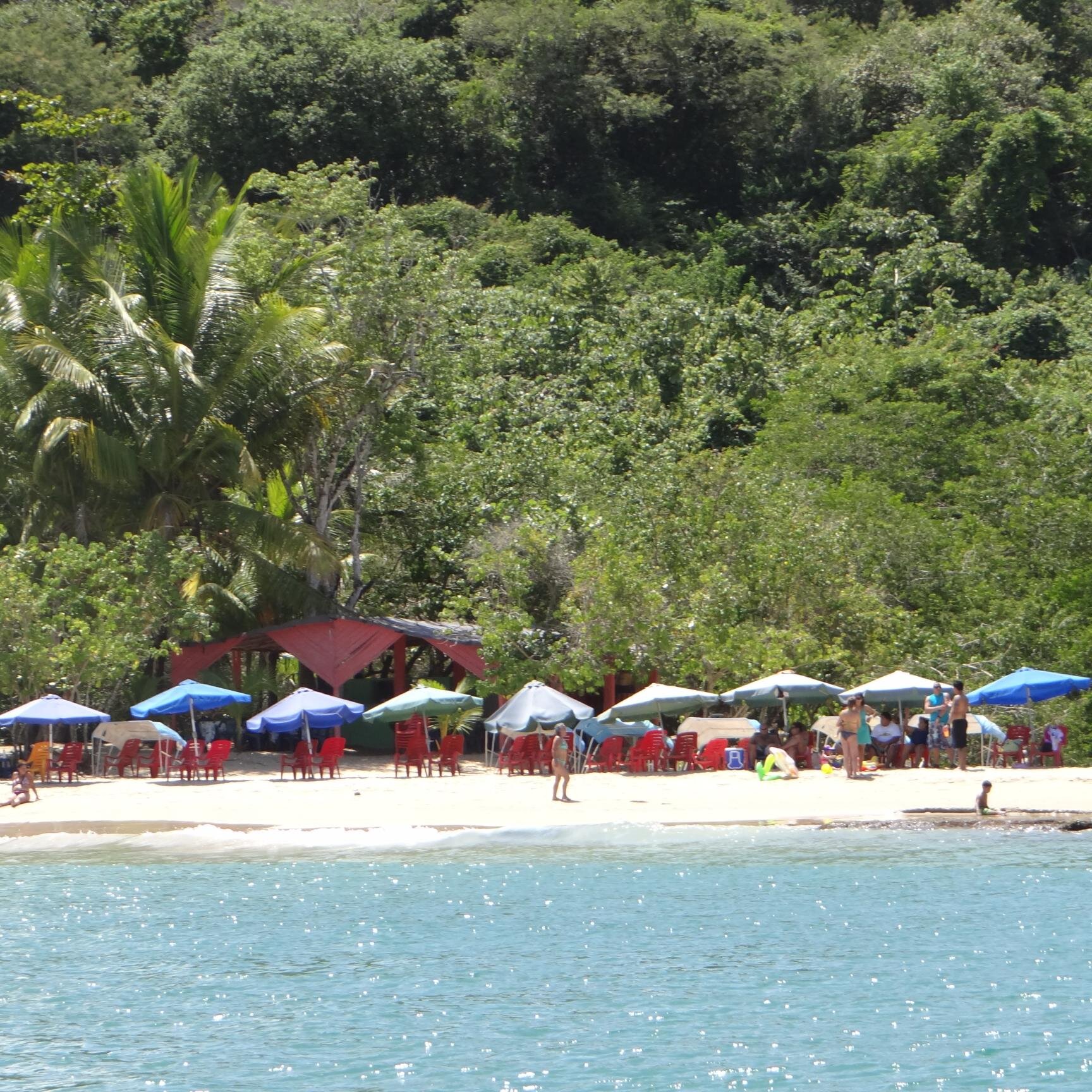 loanasanchez's profile picture. 