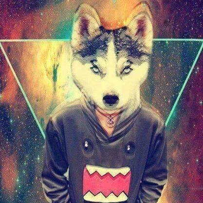 BMTH 333