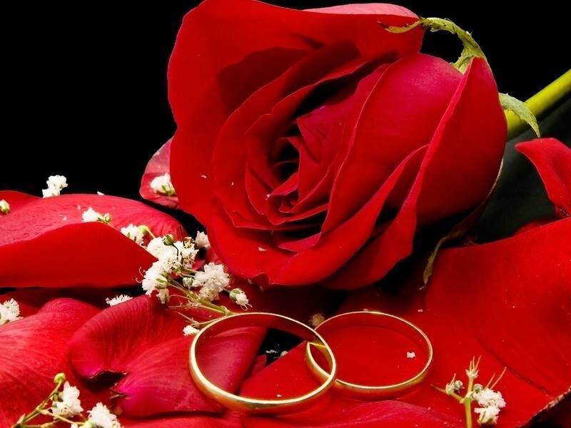 BadisZedjadj's profile picture. 