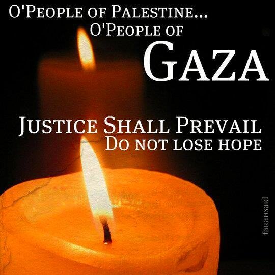 netherlandsguy's profile picture. 