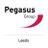 PegasusLeeds's profile image