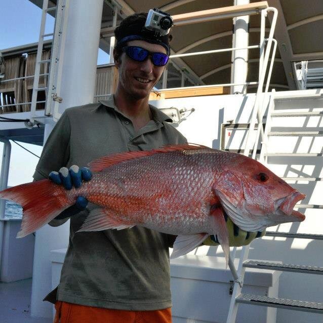 cdowney3's profile picture. Master's Student in Marine Biology, interested in nearly everything.