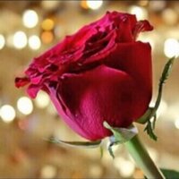 اغرد با الاستغفار  (@7gazeyh) Twitter profile photo
