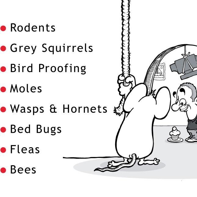 Pest Control in Hastings, Bexhill, Eastbourne & Tunbridge Wells Free Quotes. NPTA member with £2 million insurance, CRRU accredited wildlife aware tech.