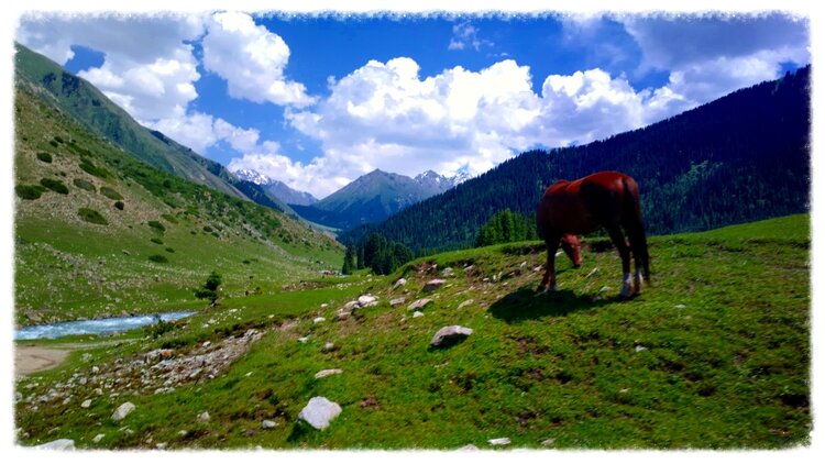 Responsibly improving our rural tourism services....