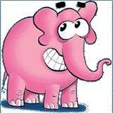 elefanteapp's profile picture. 