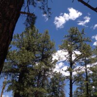 Rebecca Lomshek (@venngirl) 's Twitter Profile