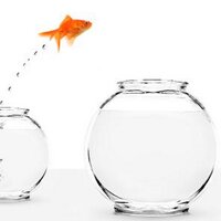 POINTBREAK_13 🇫🇷🇧🇪🇪🇺 (@pointbreak_13) 's Twitter Profile Photo