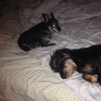 mom of 2 girls (18 & 20) and wife for 22! we have 2 great dogs, sparky & Maverick