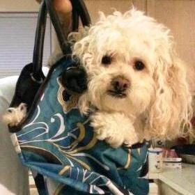 cosita0221's profile picture. 