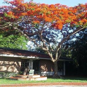 City of Plantation municipal public library http://t.co/2Ye0UruLMr