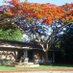 helenbhoffmanlibrary (@helenbhoffman) Twitter profile photo