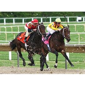 ArlingtonHgtEDC's profile picture. We're all about events. Join our campaign to #FindMoreDoMore.