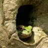 c_bouillon's profile picture. 読書が好き。SF小説と時代劇を多目に読んだりします。