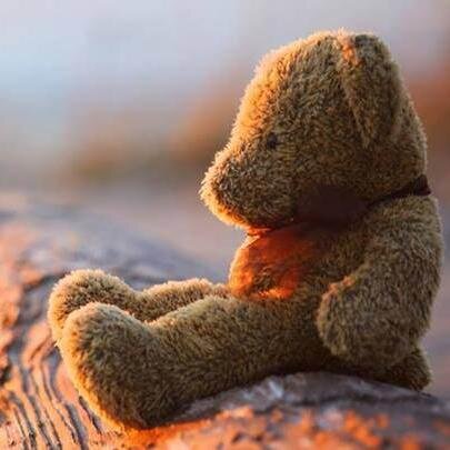 Have you lost a teddy? Lost a Phone? Lost Anything? Tell us where, when and with a description and using the power of Social Media we will try to reunite you