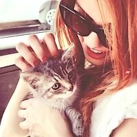 FelineForce's profile picture. We are ready to fight any menace, even until our last breath; nothing will stop us from protecting Earth. [#TokyoMewMew]