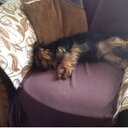 Ruby-Walsh - @burn_fred - Twitter