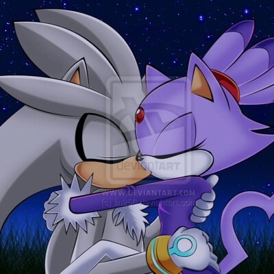My name is silverthehedgehog i am teamhero and follow me and follow back and make friend and family and #marred @blaze_cat5