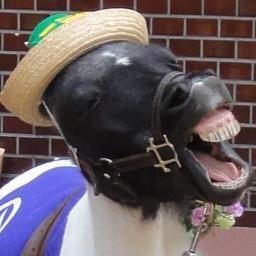 たひお Uma Tahio Twitter たひお Uma Tahio Twitter