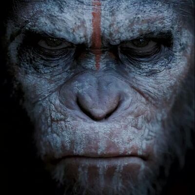 markjones_atl's profile picture. 