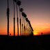 Redlands Events (@redlandsevents) Twitter profile photo